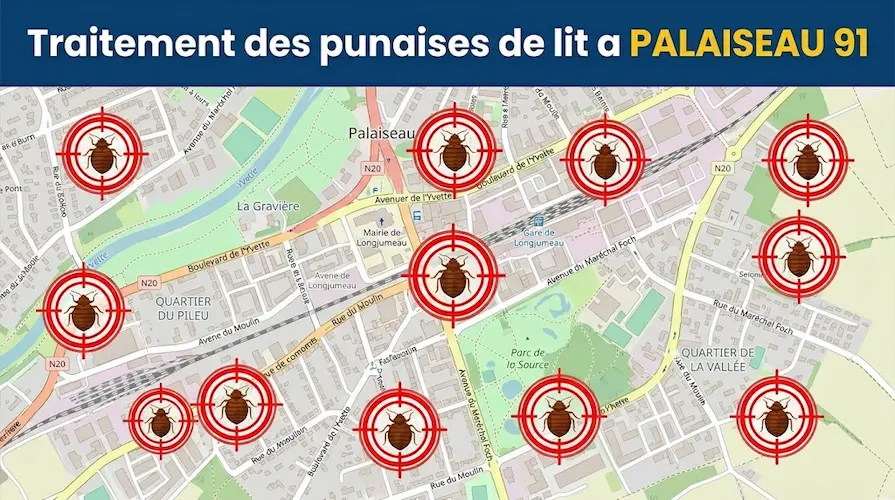 Carte de Palaiseau (91) affichant nos cibles d'intervention pour le traitement et l'éradication des punaises de lit dans la ville.