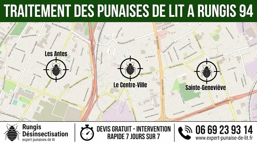 Image rectangulaire au format 16/9. En haut, un grand bandeau vert foncé affiche en majuscules l'inscription "TRAITEMENT DES PUNAISES DE LIT A RUNGIS 94". Au centre, on distingue une carte détaillée de la ville de Rungis, mettant en évidence les noms exacts des rues et des quartiers tels que Les Antes ou Le Centre-Ville. Sur cette carte, chaque quartier est ciblé par un pictogramme représentant une punaise de lit enfermée dans une cible de tir. Dans la partie inférieure, un bandeau blanc est séparé en trois zones distinctes. À gauche, un pictogramme de punaise de lit est flanqué du texte "Rungis Désinsectisation", avec la mention "expert punaises de lit" en plus petits caractères en dessous. Au centre, l'image d'un chronomètre surplombe le texte en majuscules "DEVIS GRATUIT - INTERVENTION RAPIDE 7 JOURS SUR 7". Enfin, à droite, un pictogramme symbolisant un appel téléphonique se trouve juste au-dessus du numéro "06 69 23 93 14" et de l'adresse web "www.expert-punaise-de-lit.fr".
